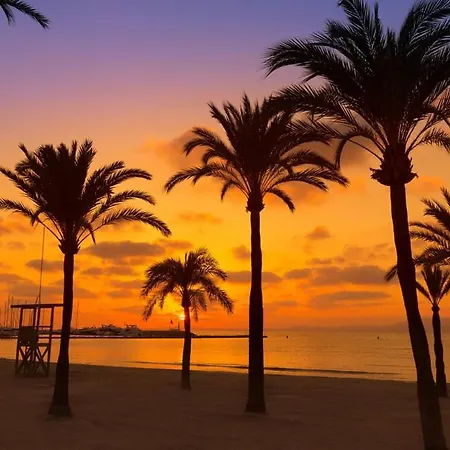 Perfect For Beach Lovers, Next To The Sailing Club